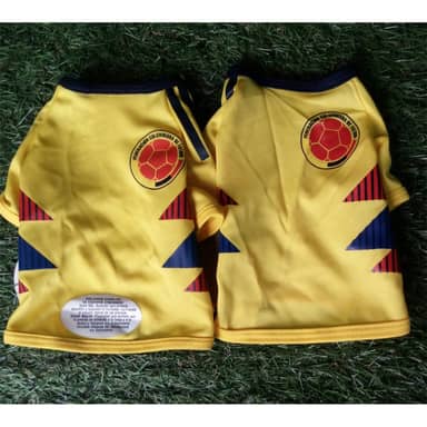 CAMISA COLOMBIA XS