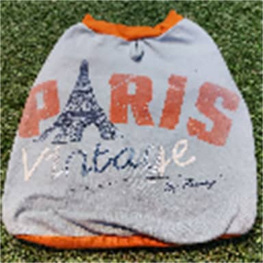 CAMISETA PARIS FREEDOG