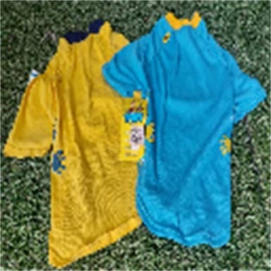 CAMISETA RUFFUS L