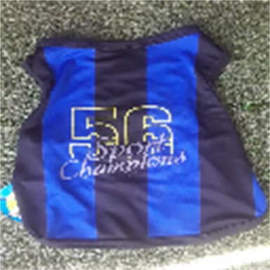 CAMISILLA SPORT S