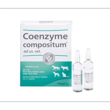 COENZYME Ampolla * Ud
