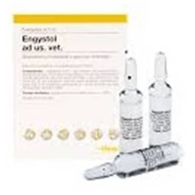 ENGYSTOL AMPOLLAS * UNIDAD