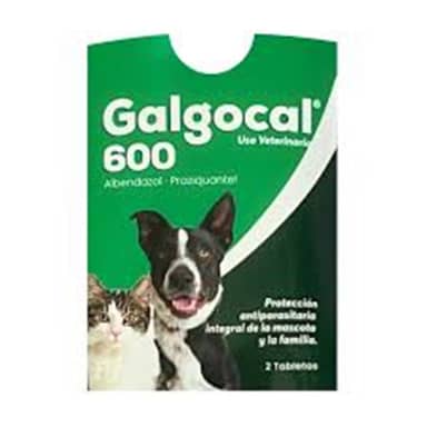 GALGOCAL 600 Sobre x 2 tabletas