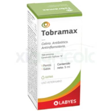 TOBRAMAX * 5 ml