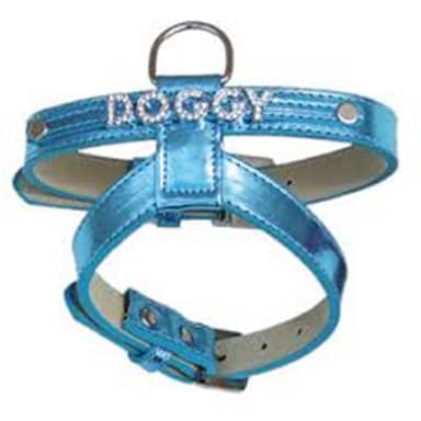 ARNES BRIGHTDOGGY AZUL 15 mm FD4000219