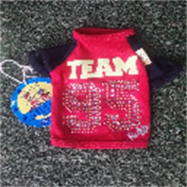 CAMISETA TEAM L