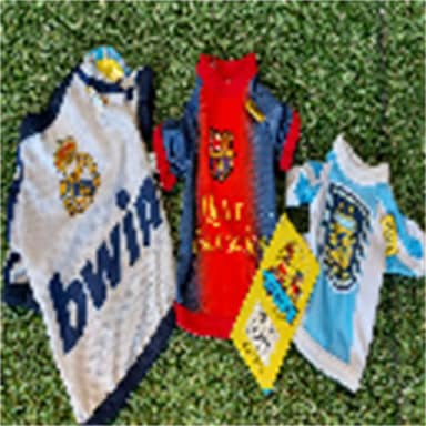 CAMISETA DEPORTIVA XS