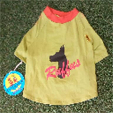 CAMISETA XM