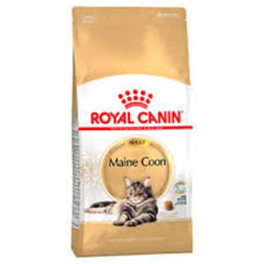 ROYAL CANIN FELINO MAINE COON AD * 2 kg