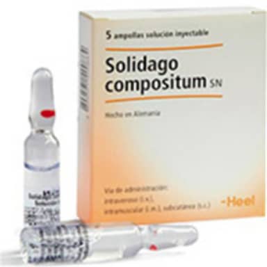 SOLIDAGO *AMPOLLA