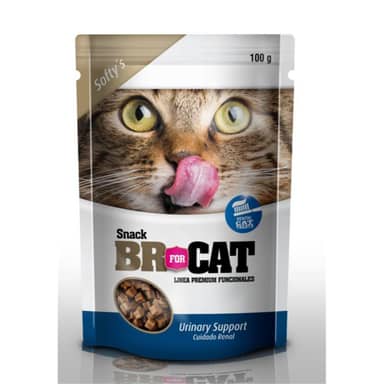 BR CAT SNACK SOFTY URINARY SUPPOR*100 gr
