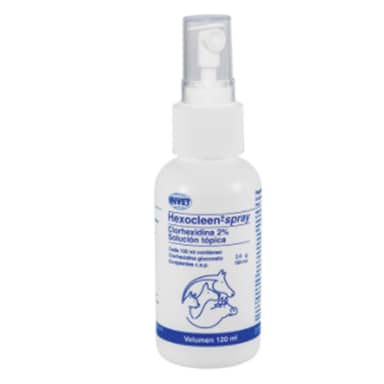 HEXOCLEEN SPRAY * 120  ml