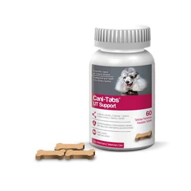 CANI TABS UT SUPPORT CAP * 60 TAB