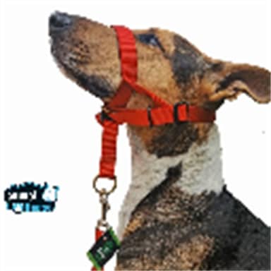 COLLAR HALTY M