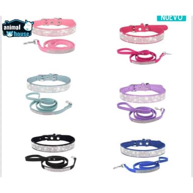 COLLAR Y TRAILLA FASHIONABLE T XXS