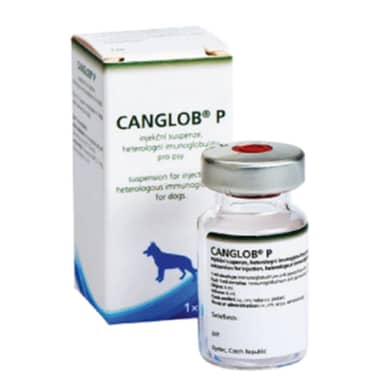 CANGLOB P VIAL * UN 1 ML