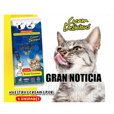 CREAM DELICIOUS STICKS SURTIDO * 4 UND