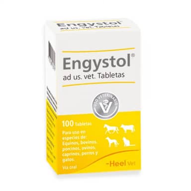 ENGYSTOL * 100 TAB
