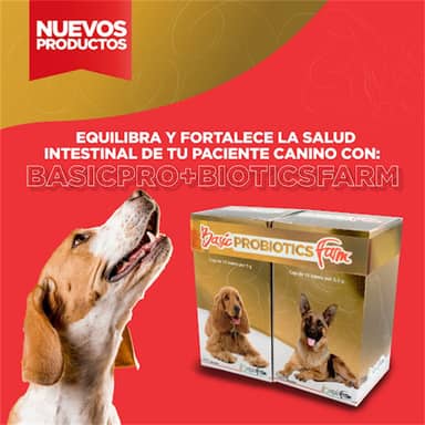 PROBIOTICS KIT* 2 Sobres 5 gr