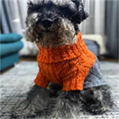BUZO LANA CORAZON DE MASCOTAS XXXL