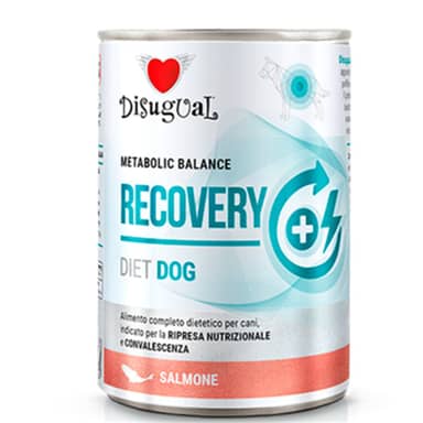 DISUGUAL DOG LATA RECOVERY SALMO * 400g