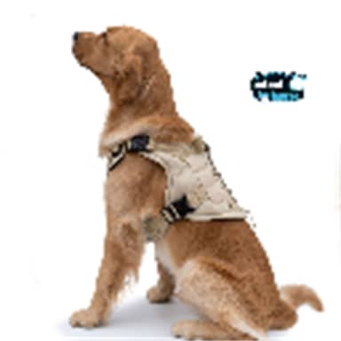 ARNES GOTHAM ZEE.DOG TALLA L