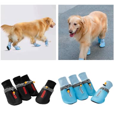 ZAPATOS PAWSHIELD T A4XL AZUL