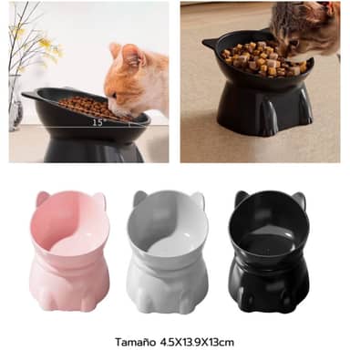 COMEDERO THE CAT