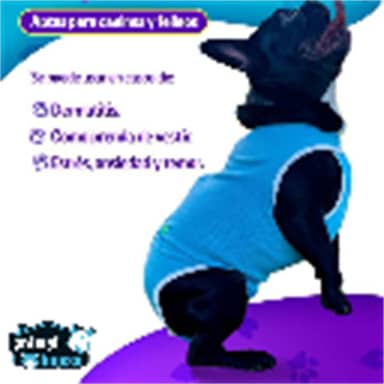 FAJA POSTQUIRURGICA BELT PET TALLA XL