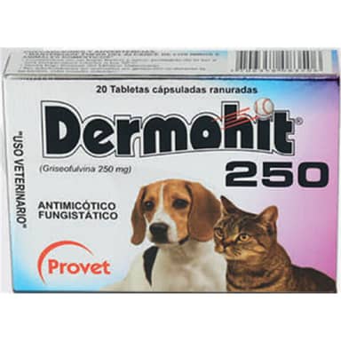 DERMOHIT 250 * 20 Tabs