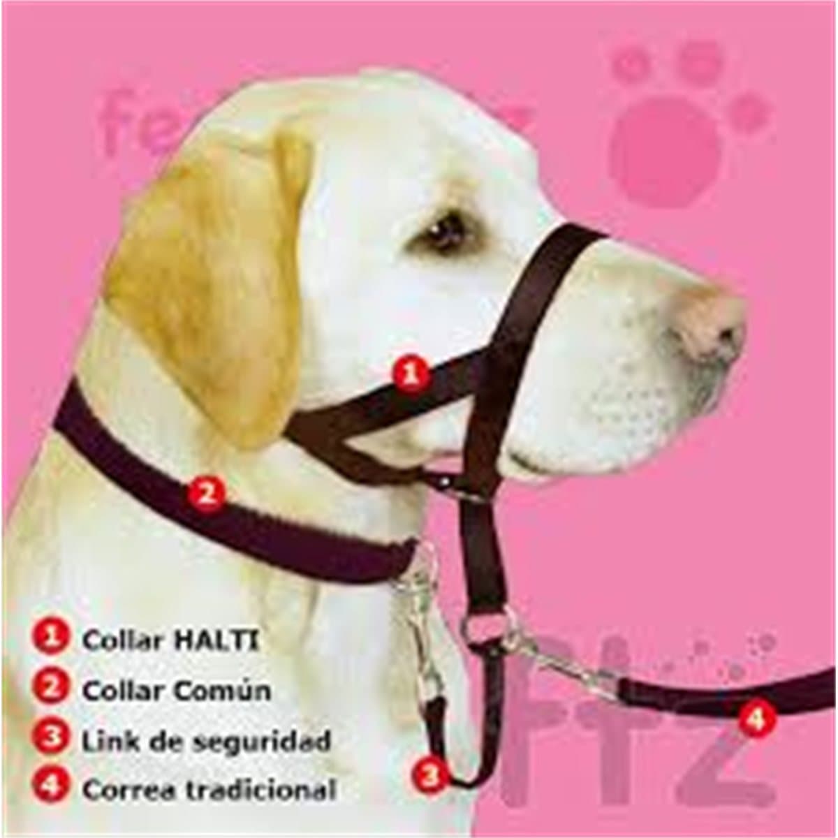 Imagen 1 de 2