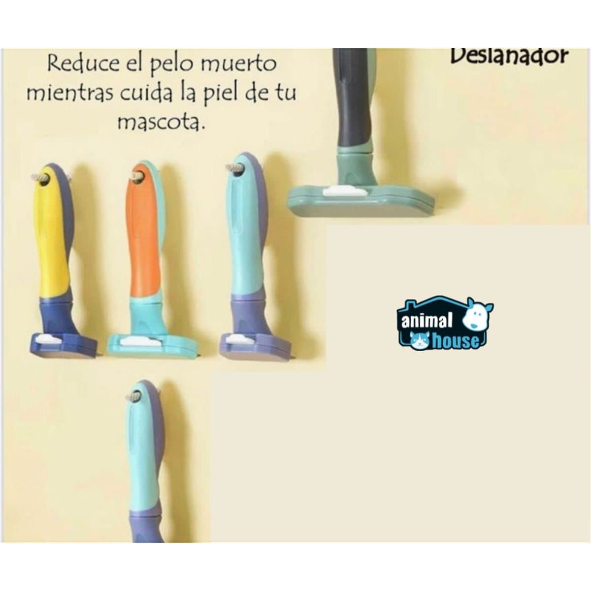 Imagen 1 de 1