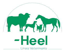 HEEL