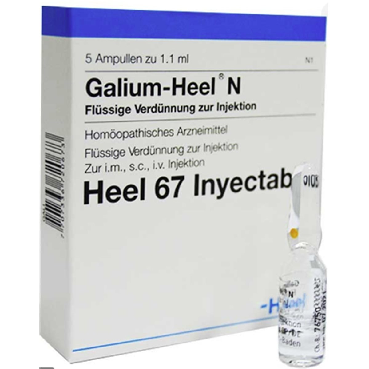 GALIUM Ampolla * Ud